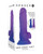 Gender X Semi Sweet Tart - Blue/Purple Adult Novelties Gender X