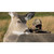 Montana Decoy Miss Muley Montana Decoy Miss Muley