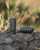 Peak Elimination Muzzle Brake 5/8-24