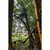 Muddy Tracer 18' 2-Man Ladderstand