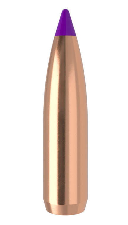 Nosler Ballistic Tip .243 / 6mm 90gr