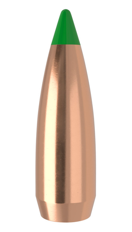 Nosler Ballistic Tip .310 123gr