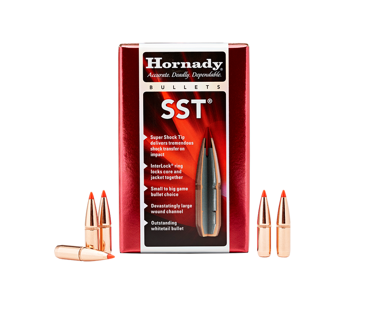 Hornady SST .310 123gr