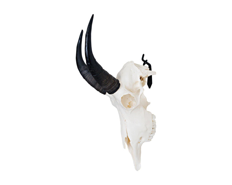 Dead on Display European Mount Hanger | Small Skull Bracket