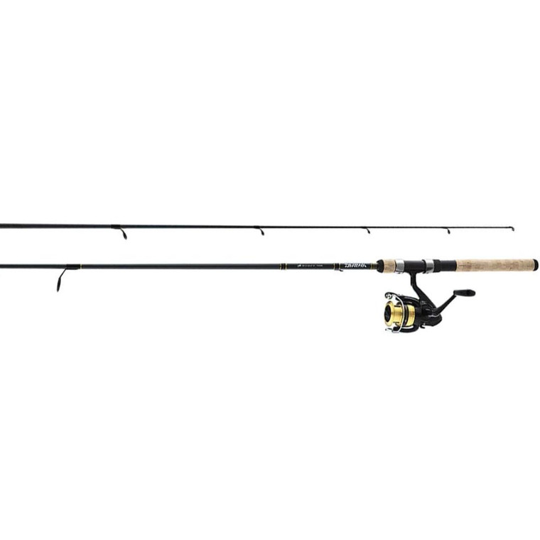 Daiwa D-Shock Spinning Combo 6'6", 2-pc, 1BB