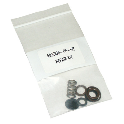 Valve Repair Kit 22670, Spraying Systems AB22670-KIT