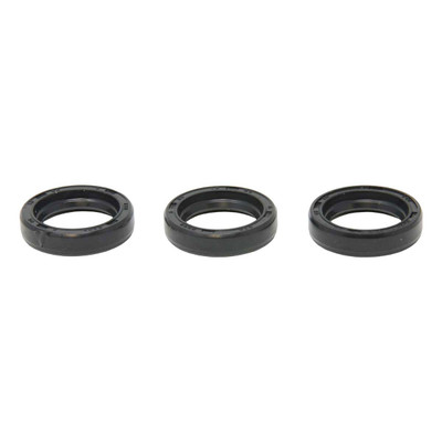 Piston Rod Oil Seal Kit #159