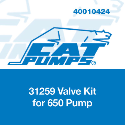 Valve Kit for 650 Pump, Fluorocarbon Cat Pumps 31259