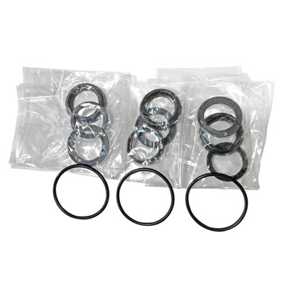 Seal Kit for Arimitsu 516 Pump, 30100