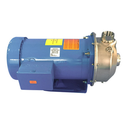 Centrifugal Pump, 3HP, 3 Phase, 60GPM, 884-303-SS