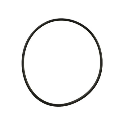 Replacement O-Ring for 20 GPM Cold Water Filter, 3001094