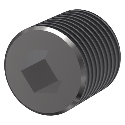 Socket Plug, 1/8NPT, Stainless Steel, 10015838, 001987