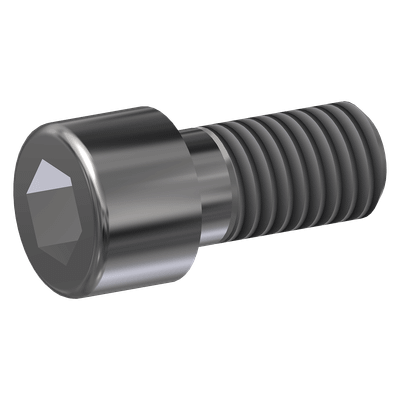 Bolt, M8-1.25x20 Socket, Stainless Steel, 600078