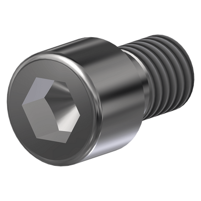 Bolt, M8-1.25x12 Socket, Stainless Steel, 600077