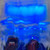 6ft Single Light Kit, Blue