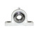 UHMW Pillow Block Bearing, BayWash G2, 2-Bolt, 1-1/4in Shaft Dia. Poly