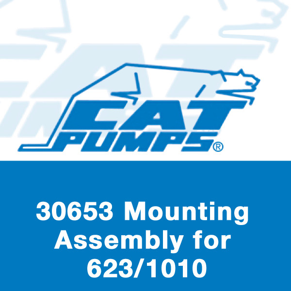 Mount Assembly for 623/820/1010 Pumps, Cat Pumps 30653