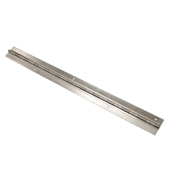 Hinge for Tire Shine, 48in L