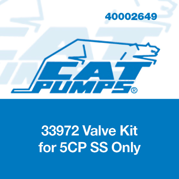 Valve Kit for 5CP Stainless Steel Pump Only, Cat Pumps 33972