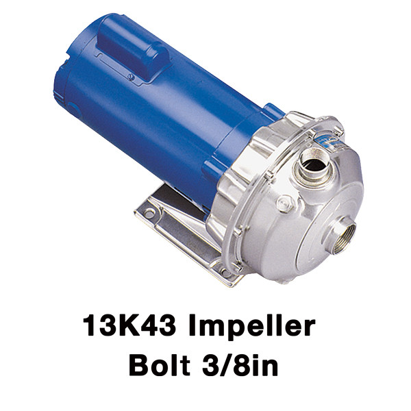 Impeller Bolt, 3/8in, 18-8 Stainless Steel, Goulds 13K43