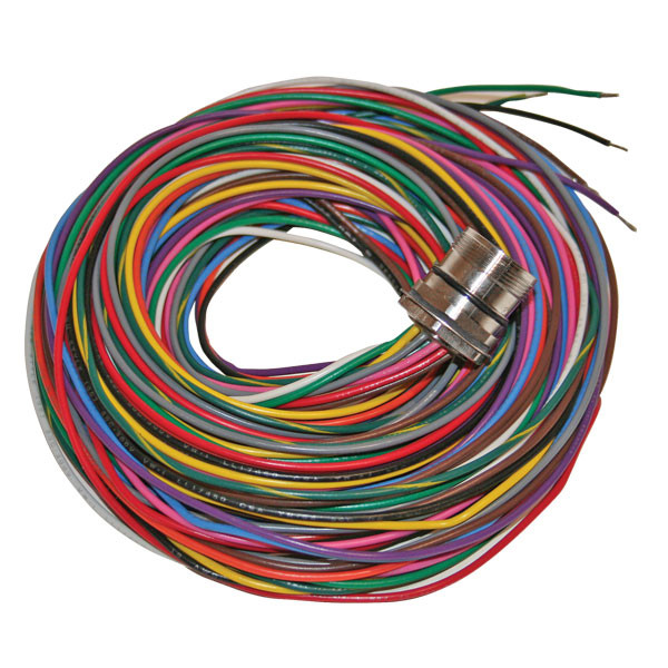 Cable Plug 12-Pin