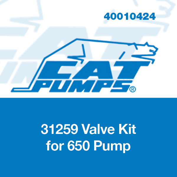 Valve Kit for 650 Pump, Fluorocarbon Cat Pumps 31259