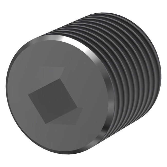 Socket Plug, 1/8NPT, Stainless Steel, 10015838, 001987