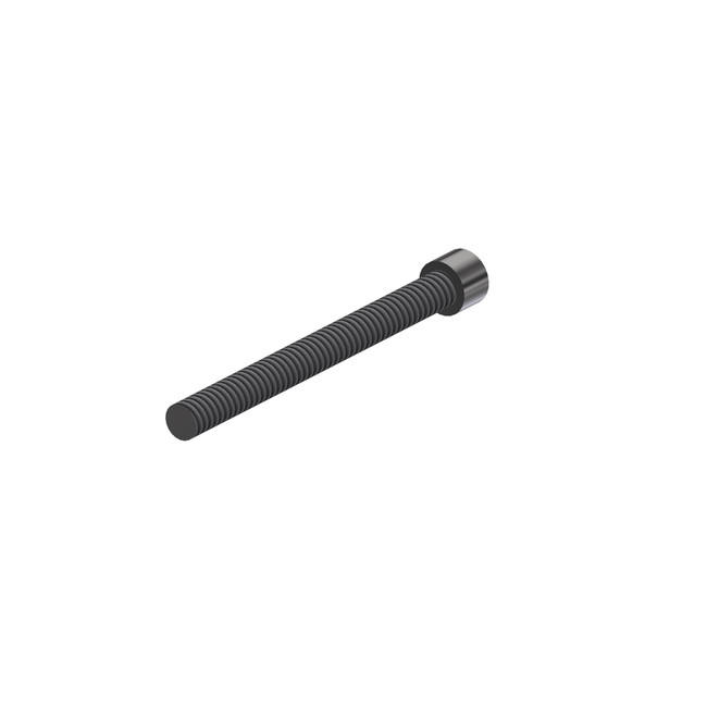 Bolt, 1/4-20 x 2-3/4in Socket, Stainless Steel, 600125