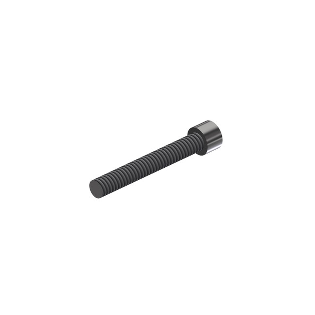 Socket Bolt, 1/4-20 x 1-3/4in, Stainless Steel, 600140