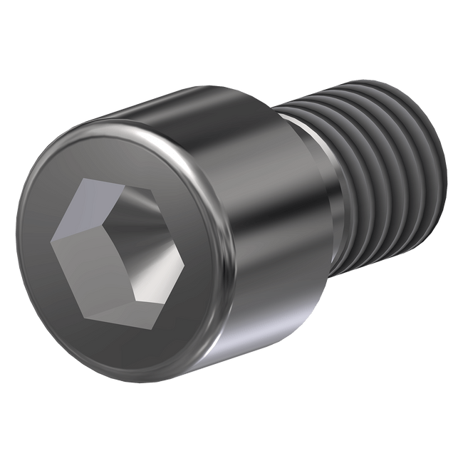 Bolt, M8-1.25x12 Socket, Stainless Steel, 600077