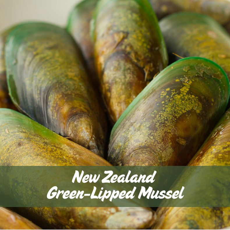 What Are the Benefits of The Green-Lipped Mussel?
