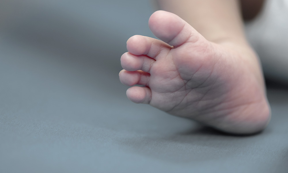 Calculadora de percentiles en VeraFarmacia, en Cáceres