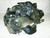EJ20 2.0L ENGINE / IMPORTED DIRECTLY FROM JAPAN / ONE YEAR WARRANTY
SUBARU LEGACY FORESTER OUTBACK IMPREZA BAJA / FOREIGN ENGINES 1999 2000 2001 2002 2003 2004 2005 99 00 01 02 03 04 05