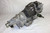 subaru legacy ej25 2.5l awd cvt automatic transmission 3.70 ratio 2010 2011 2012 10 11 12