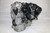 lexus ct200h 2zr-fxe 1.8l hybrid engine 2011 2012 2013 2014 2015 2016 2017 10 11 12 13 14 15 16 17