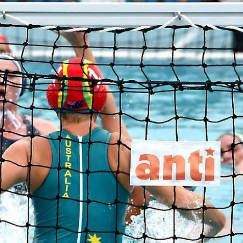 AntiWave Antiwave Net Replacement  