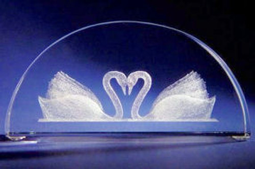Swans in glass