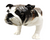Lomonosov Porcelain Animal Figurine of a English Bulldog Dark Brown  Lomonosov Porcelain Animal Figurine of a English Bulldog Dark Brown