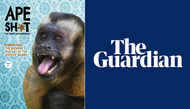 The ‘bizarre’, tortured history of humans and primates: APE SH*T