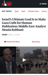 "Words are Cheap"—DELUGE Contributor Mouin Rabbani interviewed by Democracy Now! 