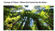 CANOPY OF TITANS excerpt re-published