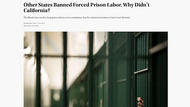 ABOLITION LABOR mentioned in TruthOut