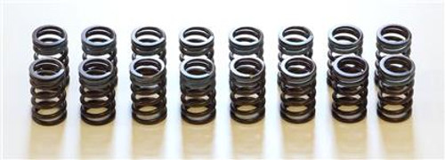 HKS Valve Spring Set for SR20DET (89-02 S13/14/15) HKS Valve Spring Set for SR20DET (89-02 S13/14/15)