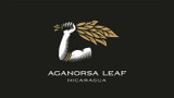 Aganorsa Leaf