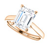 The Amira Ring Series - Eternal Moissanite 2.50CT Emerald Cut Center Catherdral Engagement Ring