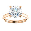 The Amira Ring Series - Eternal Moissanite 3CT Round Diamond Cut Center Catherdral Engagement Ring