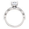 The Aurora Ring Series - Eternal Moissanite 2.45CT Center Emerald Cut Engagement Ring