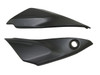 Frame Covers in Glossy Plain Weave Carbon Fiber for Ducati Monster 797