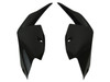 Tail Fairings in Glossy Twill Weave Carbon Fiber for BMW S1000RR 2019-2024