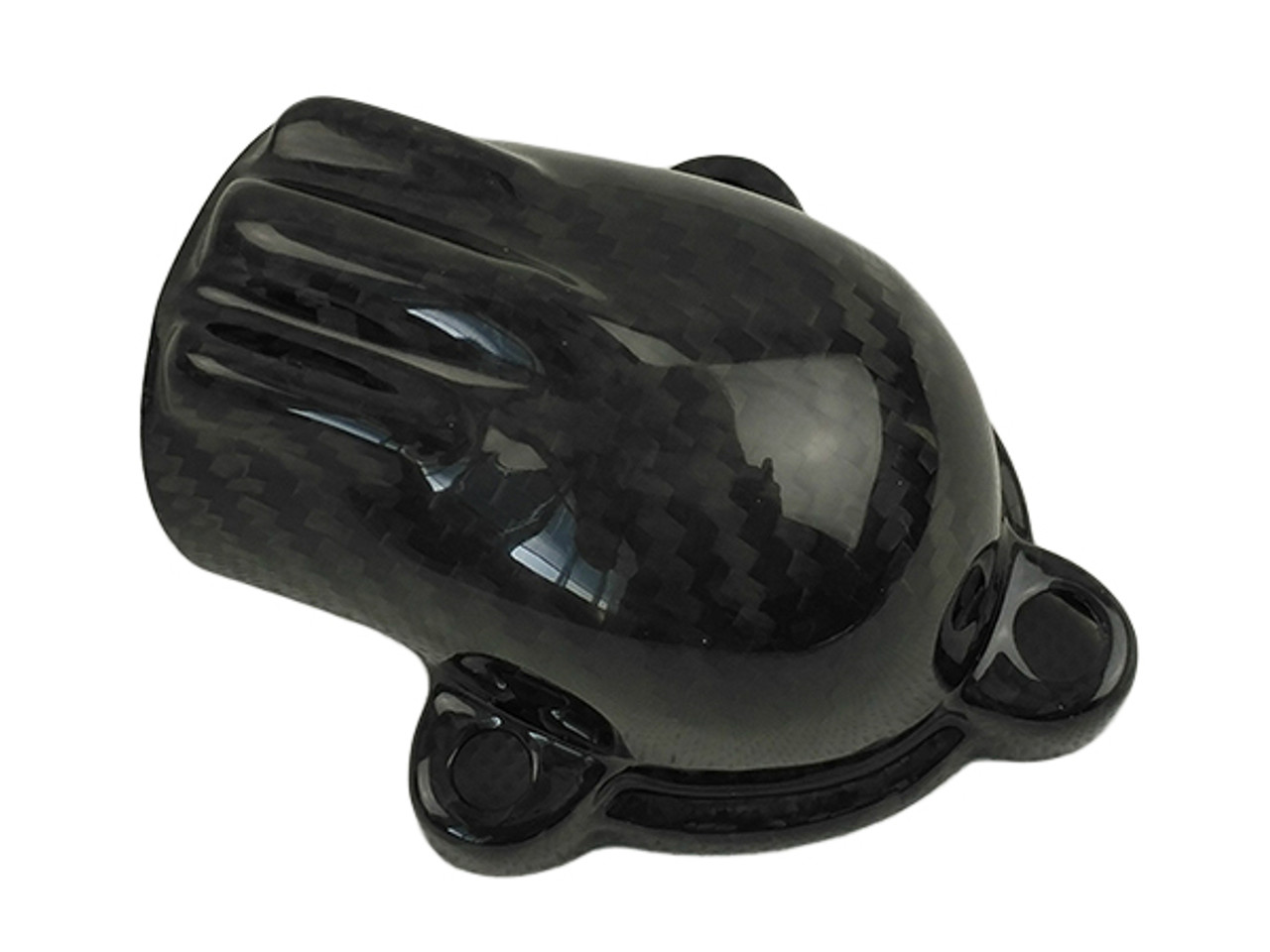 Water Pump Housing Cover (thin) in Glossy Twill Weave Carbon Fiber for BMW K1300R